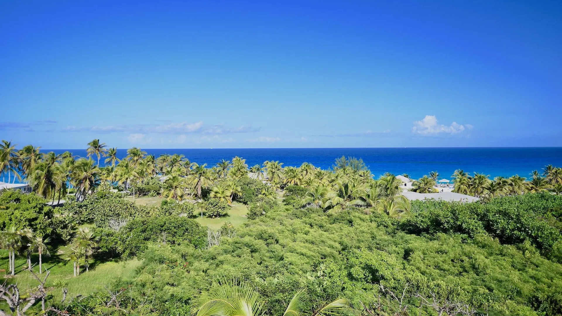 Stella Maris Resort Club